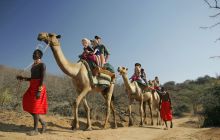 Families enjoying the camel-back safari ride at Sabuk Lodge, Laikipia, Kenya