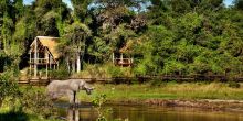 Savute Safari Lodge - Elephant in the Savute Channel near the lodge
