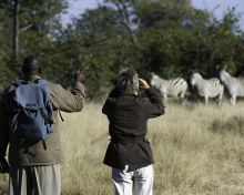 Morning game walk at Savuti Camp, Linyati Wetlands, Botswana (Dana Allen)