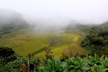 Scenery at Mount Gahinga Lodge, Mgahinga National Park, Uganda