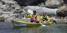 Sea kayaking with penguins