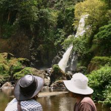 Semliki Safari Lodge, Semliki Valley Wildlife Reserve, Uganda