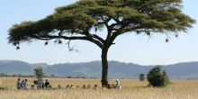 Safari picnic at Serengeti Wilderness Camp Central