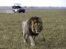 Shumba Camp, Kafue National Park, Zambia  Â© Dana Allen