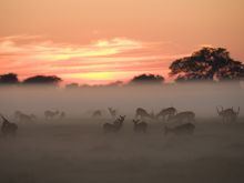Shumba Camp, Kafue National Park, Zambia  Â© Michael Poliza