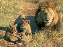 Shumba Camp, Kafue National Park, Zambia  Â© Mike Myers
