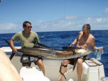 Silhouette Cruise, Seychelles Cruises, Inter Island Sailing, Seychelles