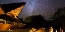 Ithumba Camp Night Sky