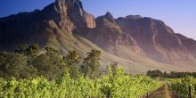 Cape Wineland Tour Scheduled Full Day, Cape Town, South Africa