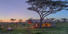 Mara Under Canvas Tented Camp