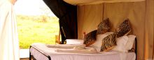 The tents offer comfort with beautiful views of the plains at Serengeti Savannah Camps, Serengeti National Park, Tanzania
