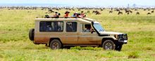 Go on a thrilling game drive to immerse yourself in the wildebeest and zebra migrations at Serengeti Savannah Camps, Serengeti National Park, Tanzania