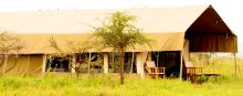 The camp blends into its natural surroundings at Serengeti Savannah Camps, Serengeti National Park, Tanzania