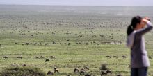 Serian Serengeti South 