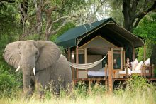 Stanley's Camp, Okavango Delta, Botswana