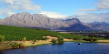 Stellenbosch landscape