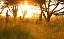 Sundowner at Acacia House, Masai Mara National Reserve, Kenya