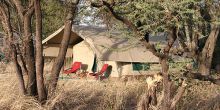 Serengeti Wilderness Camp Central