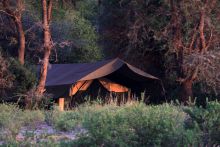 View of a tent at Lemala Manyara, Lake Manyara National Park, Tanzania