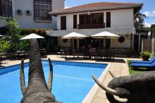 The African Tulip, Arusha, Tanzania