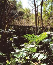 The Cascades Hotel, Cape Town, South Africa