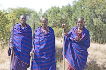 The welcoming Masai staff- Porini Rhino Camp, Ol Pejeta Reserve, Kenya