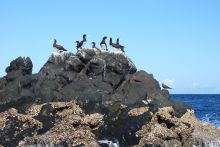 Tsarabanjina, Nosy Be, Madagascar