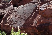 Twefelfontein giraffe and feet