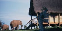 Gorah Elephant Camp, Addo Elephant National Park, South Africa