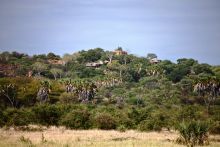 View of the kopje (hill)- Elsas Kopje, Meru National Park, Kenya