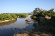 View from lodge at Selous Impala Camp, Selous National Park, Tanzania
