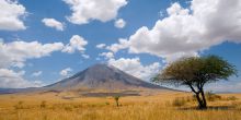 Lake Natron Tented Camp