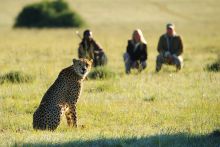 Walking safari at Shamwari Long Lee Manor, Shamwari Game Reserve, South Africa