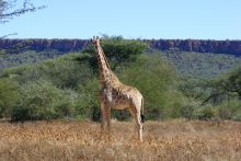 Waterberg Wilderness Lodge,  Waterberg Plateau, Namibia