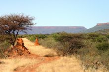 Waterberg Wilderness Lodge,  Waterberg Plateau, Namibia