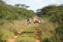 Waterberg Wilderness Lodge,  Waterberg Plateau, Namibia