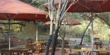 Waterberg Camp dining