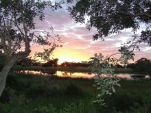 Sunrise at Xaranna Camp, Okavango Delta, Botswana 