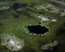 Aerial shot of the delta at Xigera Camp, Moremi Game Reserve, Botswana (Dana Allen)