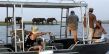 Zambezi queen activities